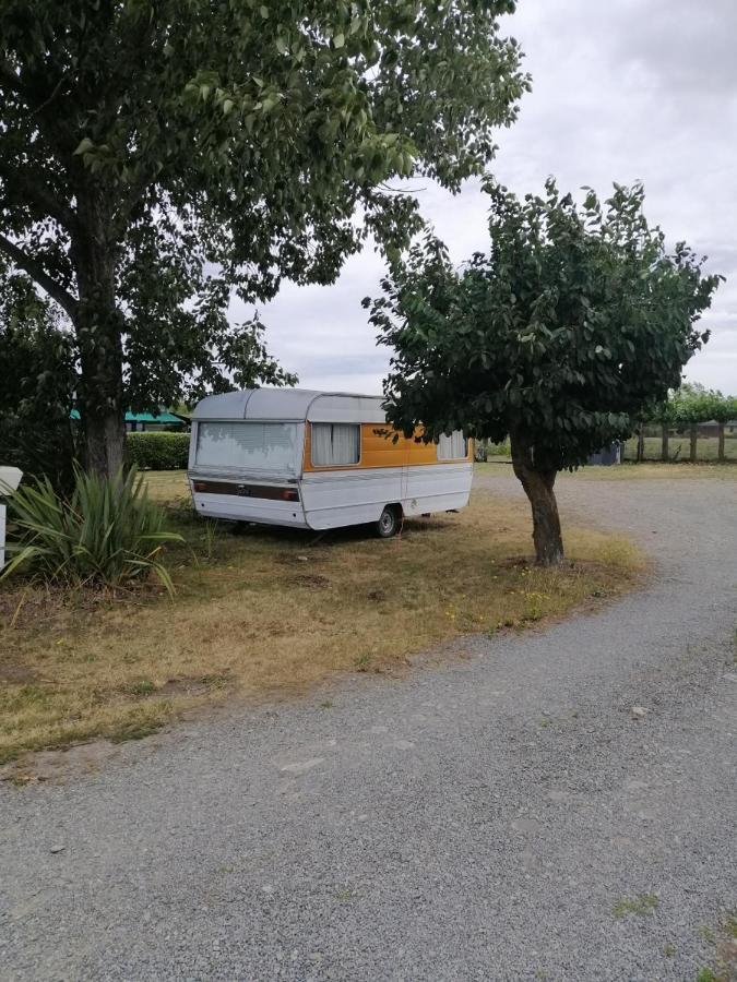 Rangiora Eco Holiday Park Fernside Exteriör bild